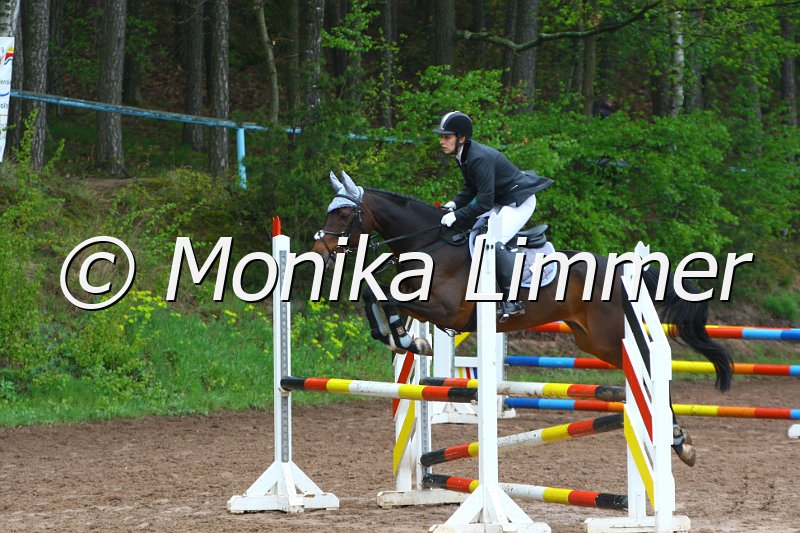 005L4824_Lamiro_Spring  Ax.JPG